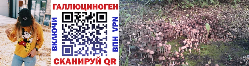 Псилоцибиновые грибы Psilocybe  продажа наркотиков  Гатчина 